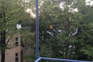 Moderne hochwertig renovierte 3-Zi-Wohnung in Schwabing – Schleißheimerstraße 203, 80809 Am Luitpoldpark, München – Vorschaubild 8