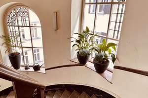 Großzügige Altbau Wohnung am Preußenpark mit Stuck, Parkett, Aufzug, Bezugsfrei – Brandenburgischestrasse 16, 10707 Wilmersdorf, Berlin – Vorschaubild 7