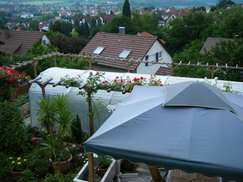 Blick auf Gewächshaus