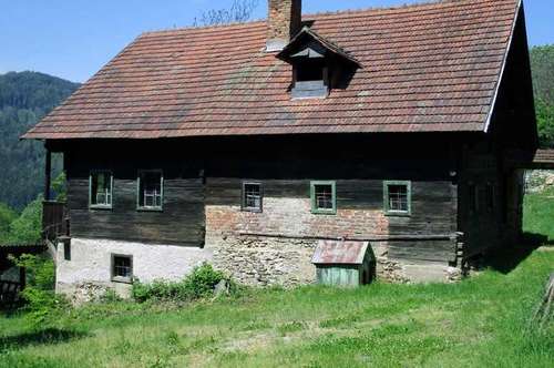 Bauernhaus in der Steiermark - Bauernhäuser bei immodirekt.at
