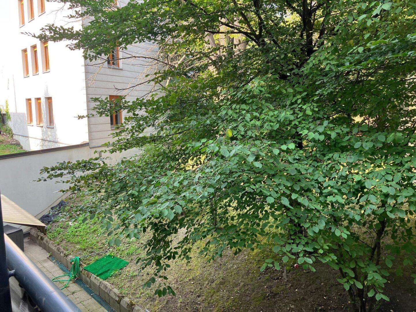 Großzügige, elegante 2-Zimmer-Wohnung mit KÜCHE und TERRASSE in Hütteldorf