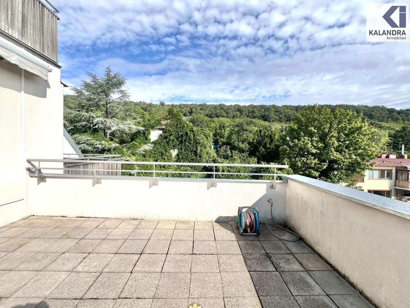 360° TOUR // LUXUS-DACHTERRASSEN-WOHNUNG mit FERNBLICK