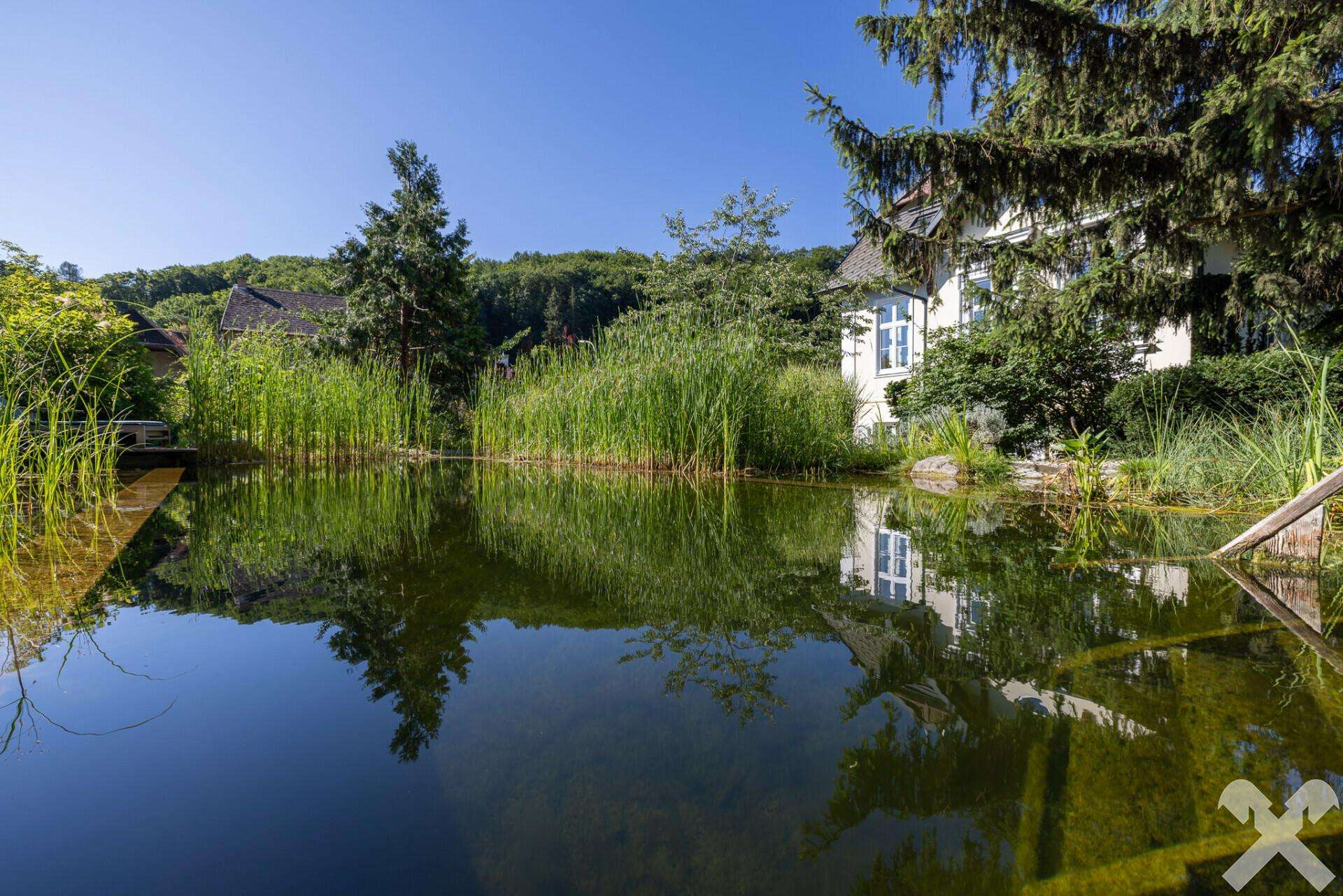 Erleben Sie den Charme und die Eleganz einer historischen Villa in Weidling