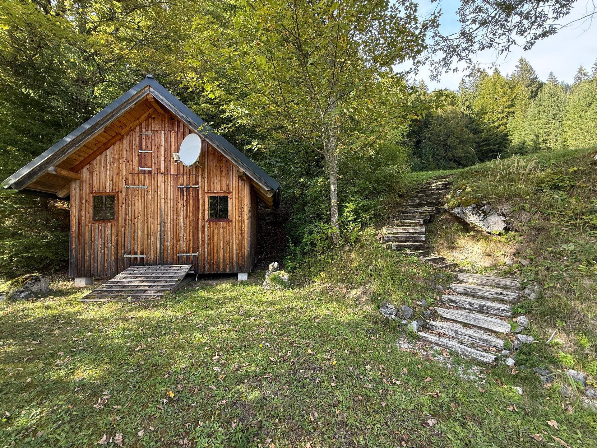 Rustikale Holzhütte im Wald mit Satellitenschüssel und Holztreppe am Hang.