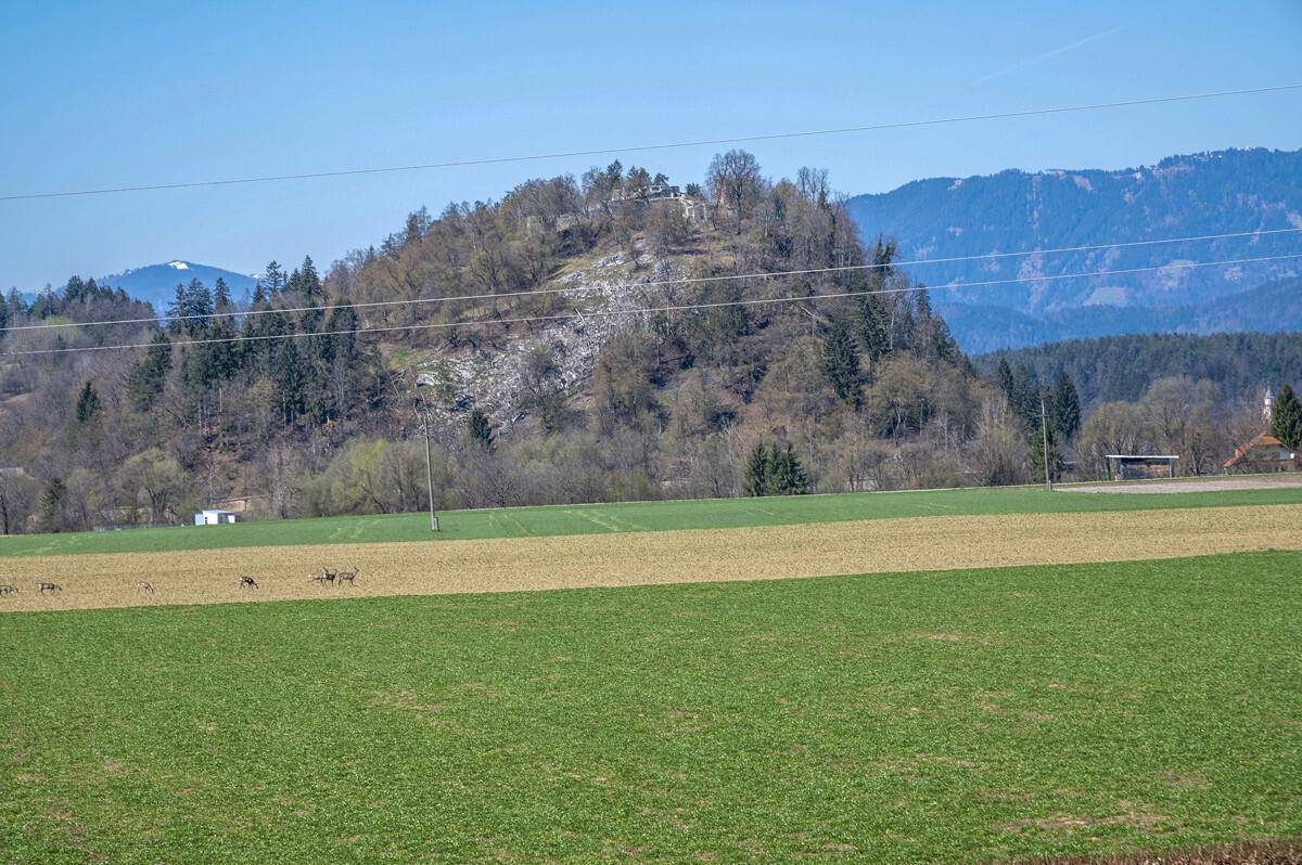 Panoramablick Westen
