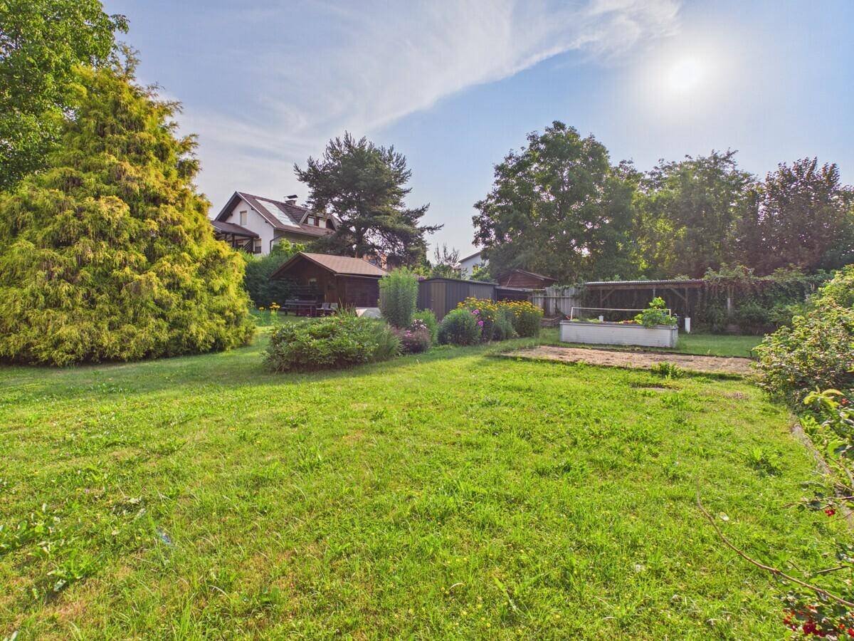 Großer, sonniger Garten mit Rasenfläche, Gartenhaus und verschiedenen Pflanzen.