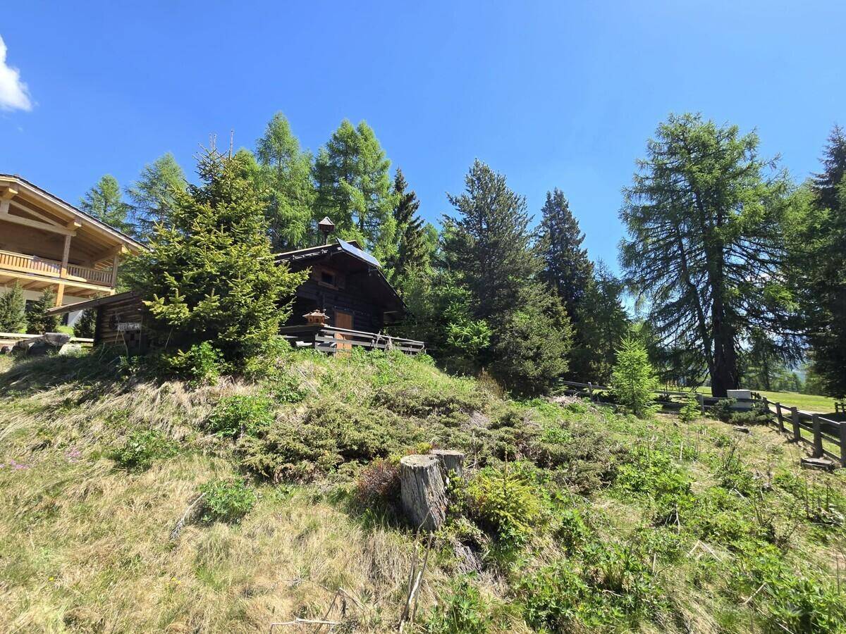 Traditionelles Holzhaus auf einem Hügel, umgeben von Bäumen und alpiner Vegetation.
