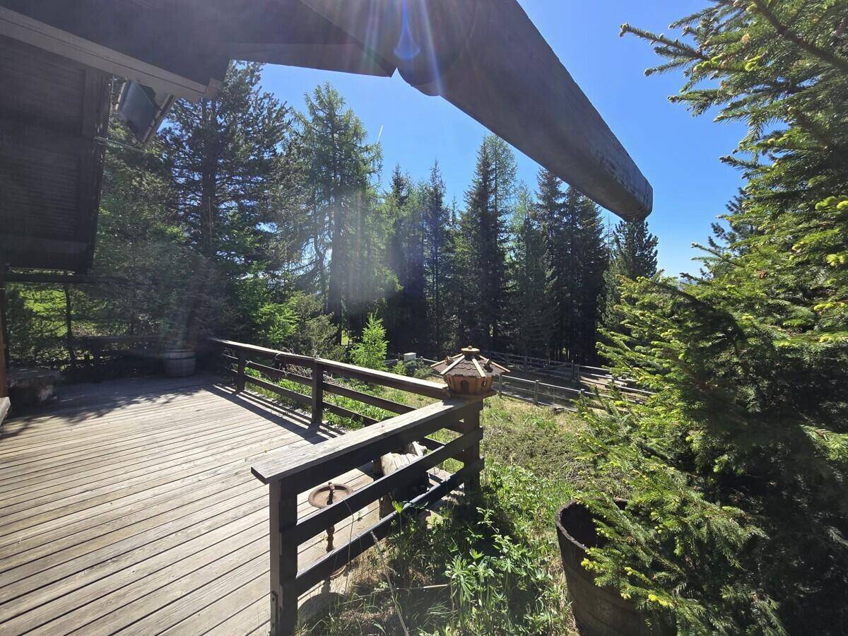 Sonnige Holzterrasse mit Geländer und Blick auf die umliegenden Wälder und Berge.