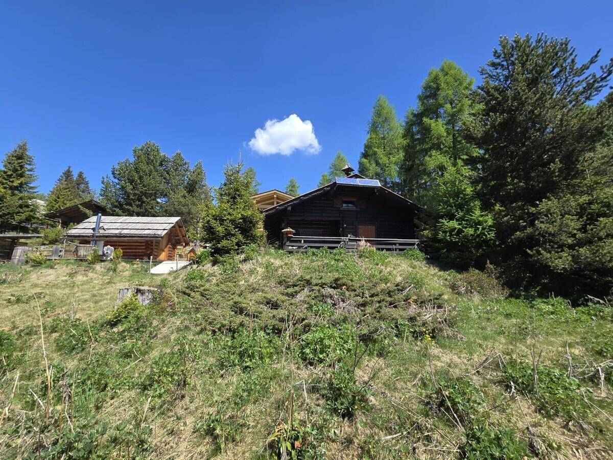 Rustikales Holzhaus in alpiner Umgebung, umgeben von Bäumen und grüner Natur.