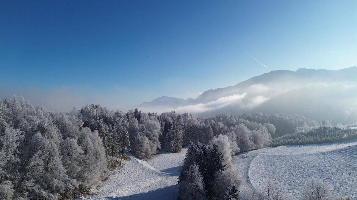 Weitläufige Winterlandschaft mit schneebedeckten Wäldern und Bergen unter klarem blauem Himmel.