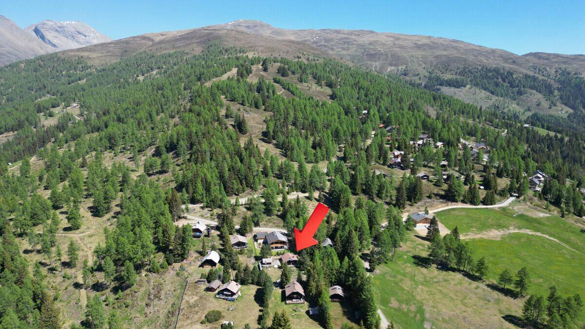 Weitläufige Luftaufnahme einer alpinen Landschaft mit Wald, Bergen und verstreuten Holzhäusern.
