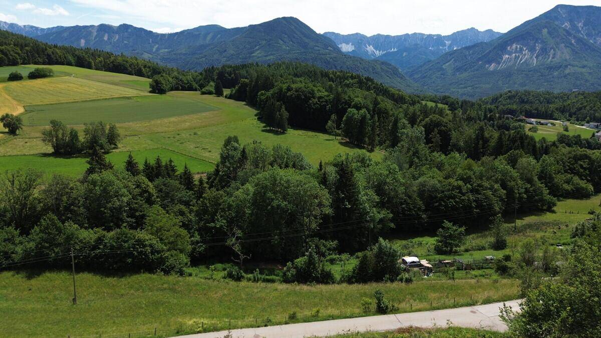 Malerische Landschaftsaufnahme eines grünen Tals mit weiten Feldern, Wäldern und imposanten Bergen im Hintergrund.