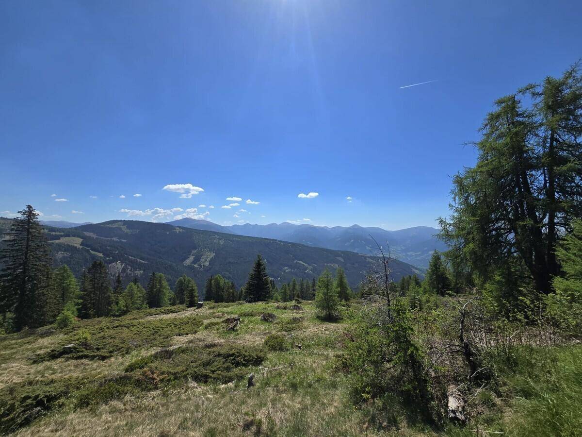 Malerischer Weitblick über bewaldete Berge und Täler unter einem strahlend blauen Himmel.
