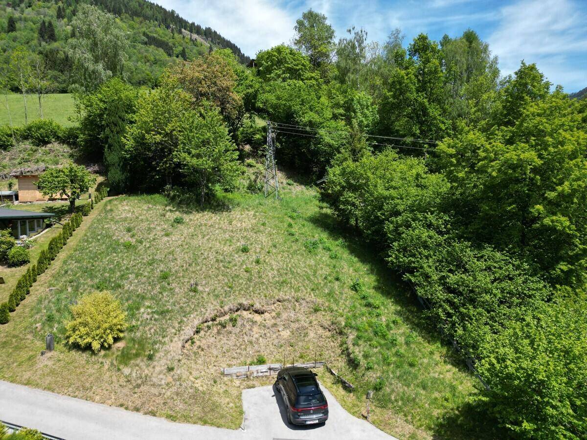 Grüne Hanglage mit einem geparkten Auto auf einer Zufahrt, umgeben von Bäumen und Sträuchern.