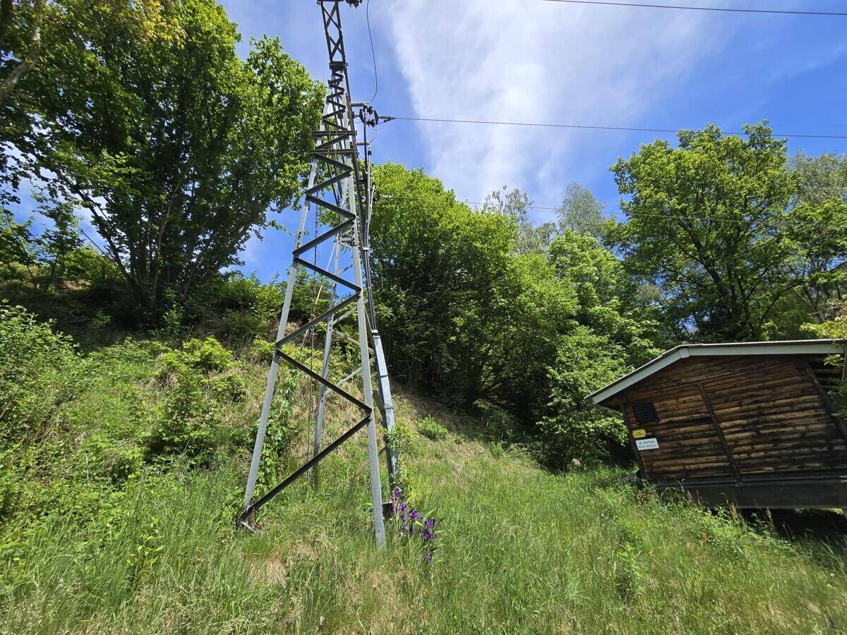 Strommast und eine kleine Holzhütte auf einem grünen Hang, umgeben von Bäumen und Sträuchern.