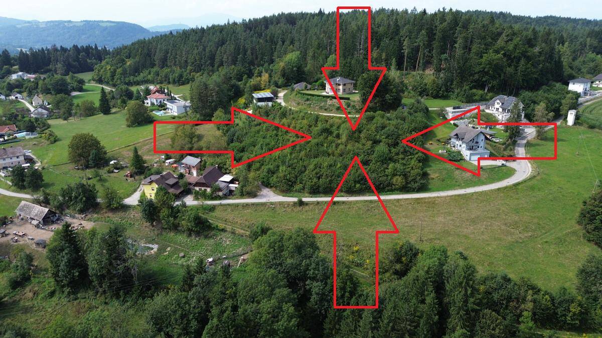 Luftaufnahme eines bewaldeten Gebiets mit roten Pfeilen, die auf verschiedene Grundstücke und Häuser zeigen.