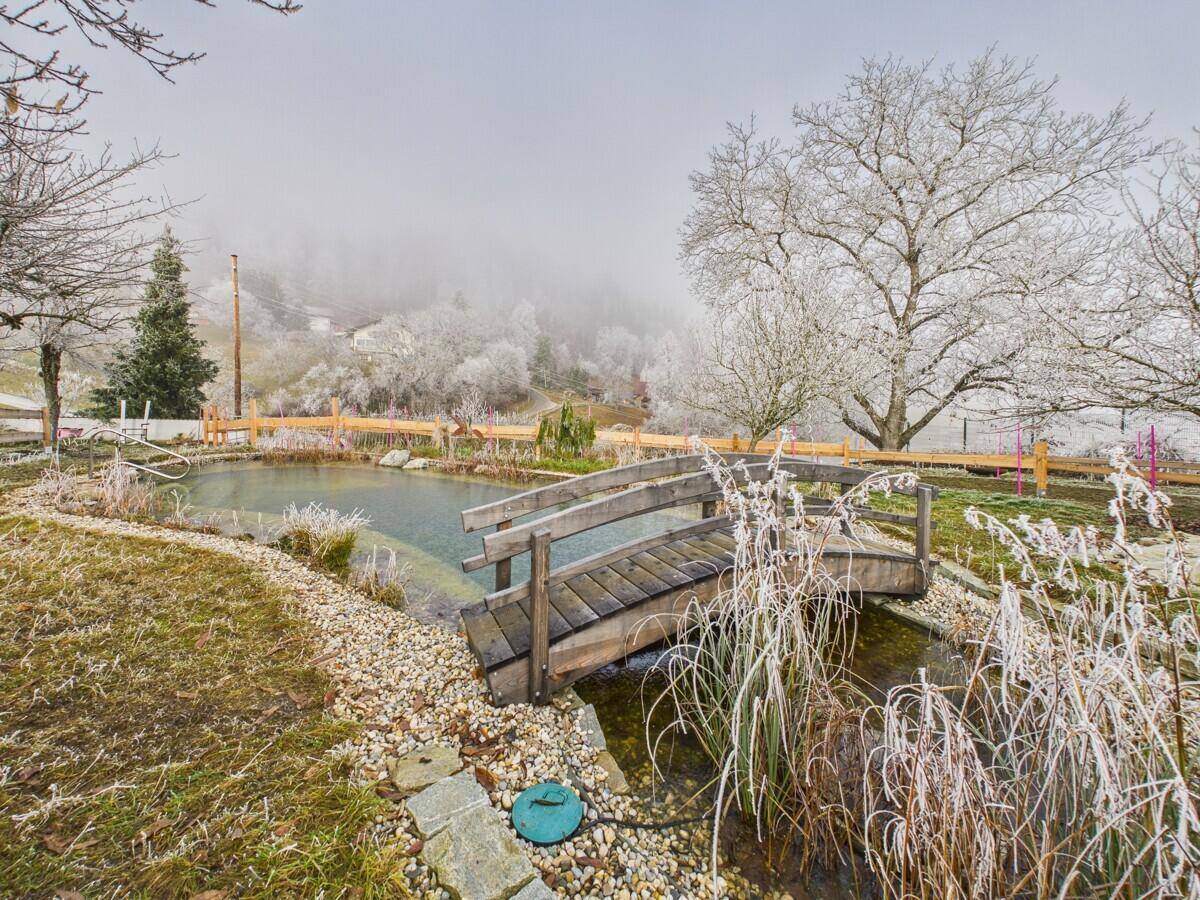 Idyllischer Garten mit einem Teich, einer kleinen Holzbrücke und frostbedeckten Pflanzen im Winter.