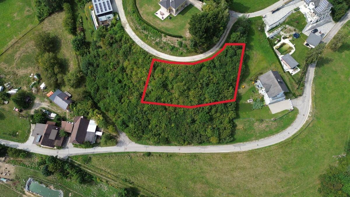 Draufsicht auf ein von Vegetation bewachsenes Baugrundstück, umgeben von Straßen und Wohnhäusern.