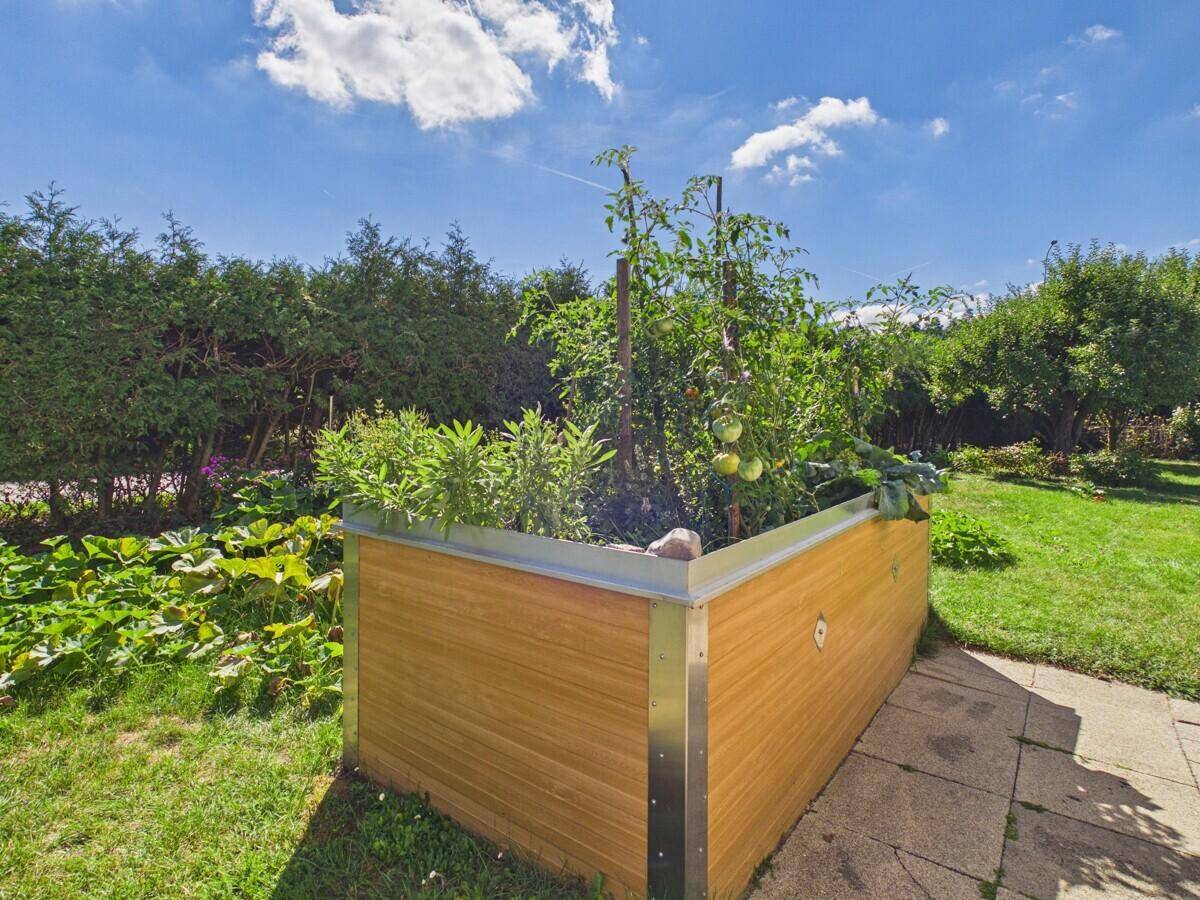 Hochbeet im Garten mit Tomatenpflanzen und Kräutern, umgeben von Rasenfläche.