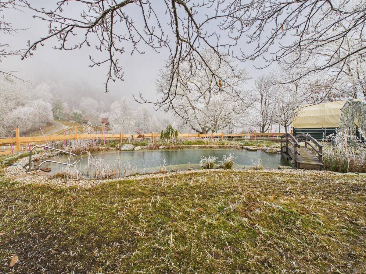 Natürlicher Gartenteich mit üppiger Vegetation und frostigen Gräsern in der Winterlandschaft.