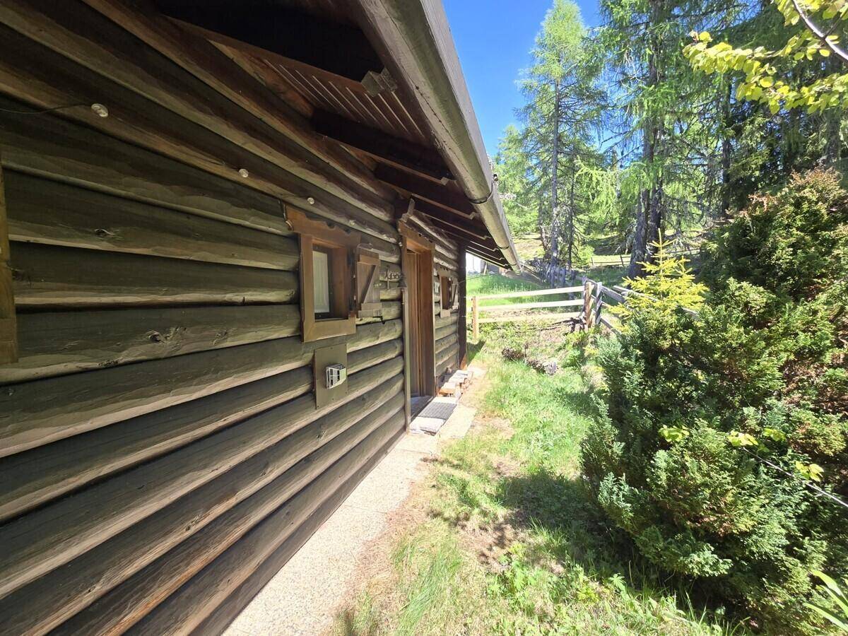 Seitenansicht einer rustikalen Holzhütte mit schmalem Pfad und grünen Büschen.