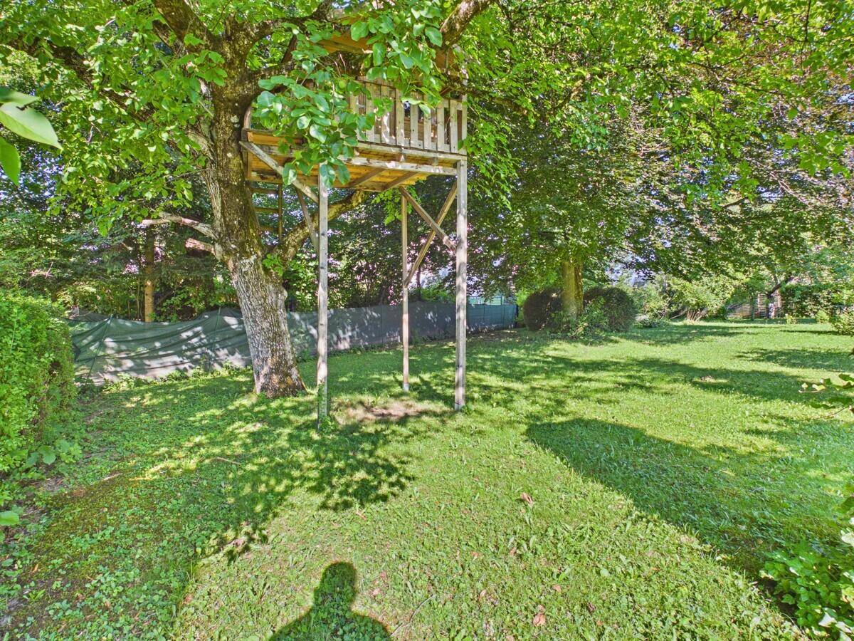 Große Rasenfläche im Garten mit einem Baumhaus in einem alten Baum.