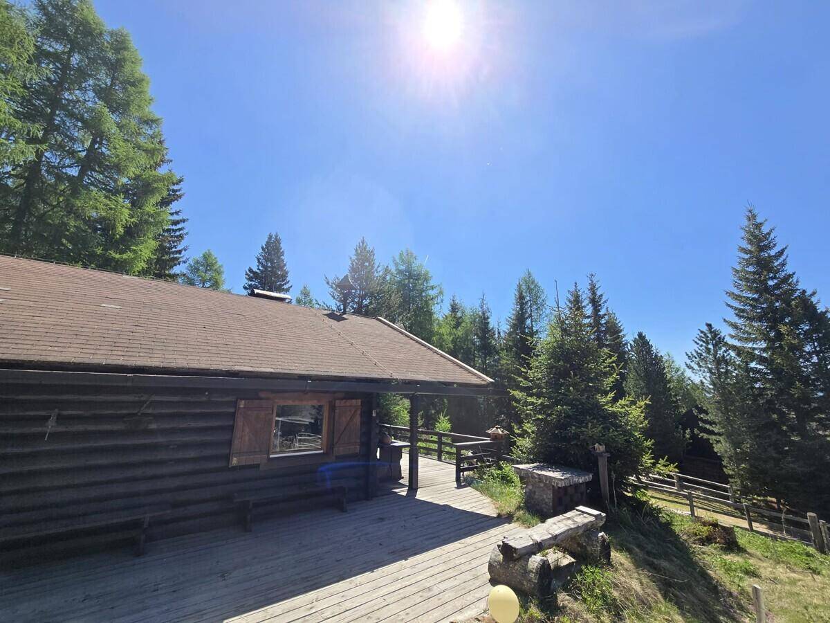 Sonnige Holzterrasse vor einer rustikalen Hütte, umgeben von hohen Nadelbäumen unter blauem Himmel.