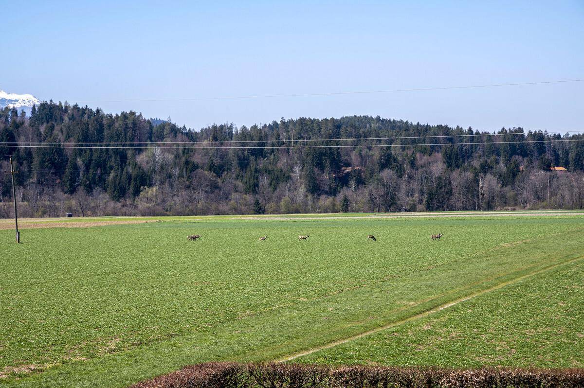 Westen