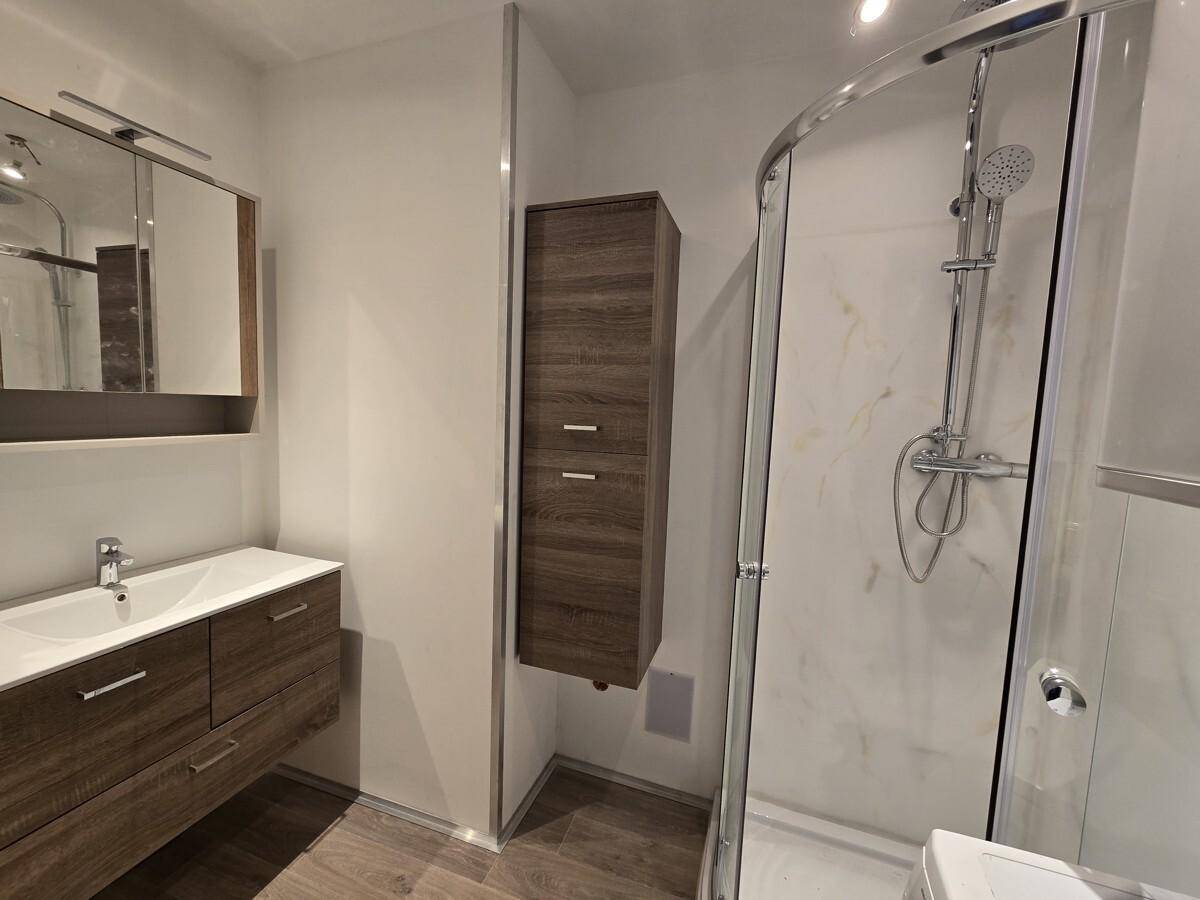 Modernes Badezimmer mit Duschkabine, Waschtisch und Spiegelschrank, ausgestattet mit dunklen Holzmöbeln.