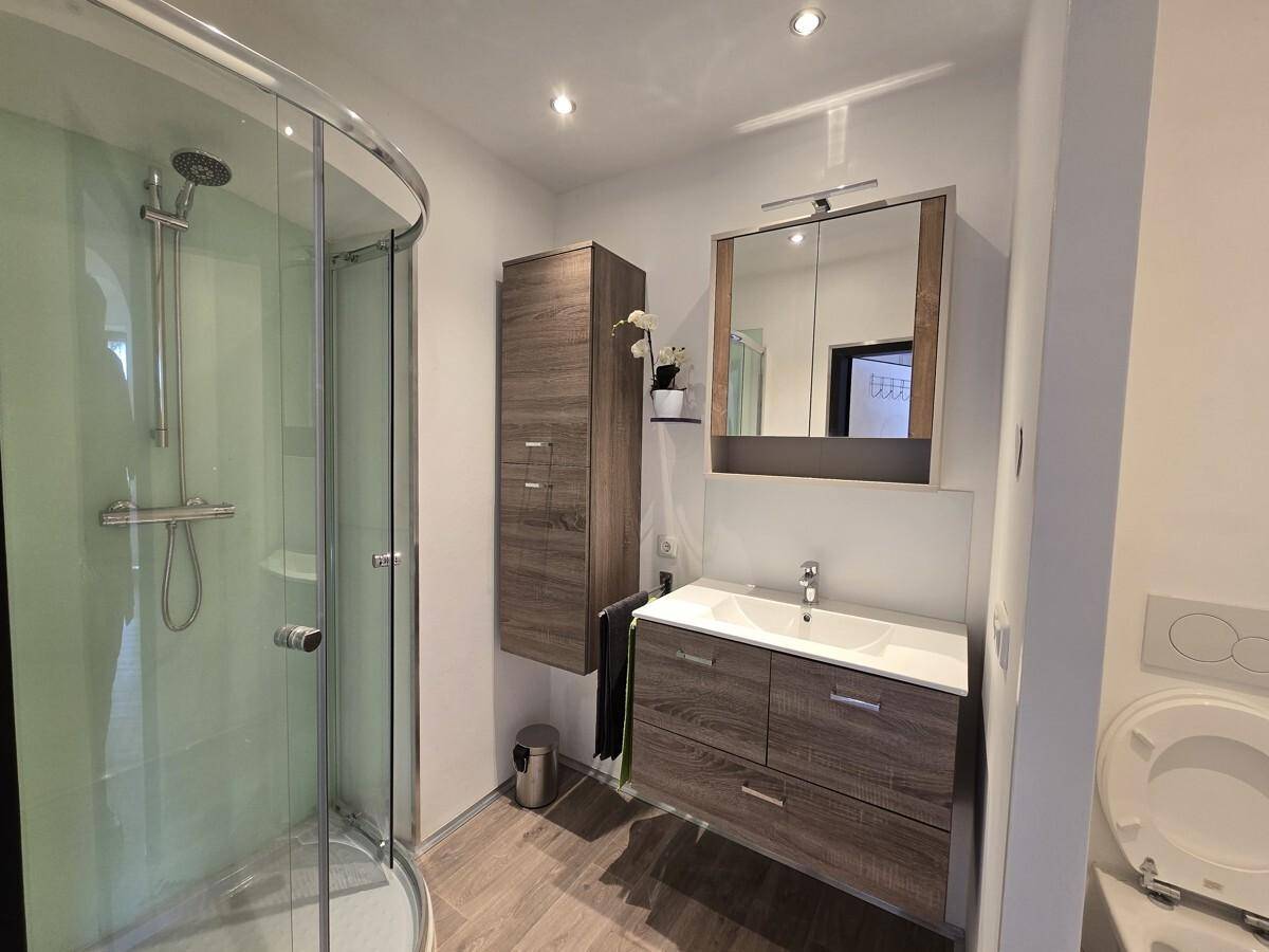 Modernes Badezimmer mit Duschkabine, Waschtisch und Spiegelschrank, ausgestattet mit dunklen Holzmöbeln.