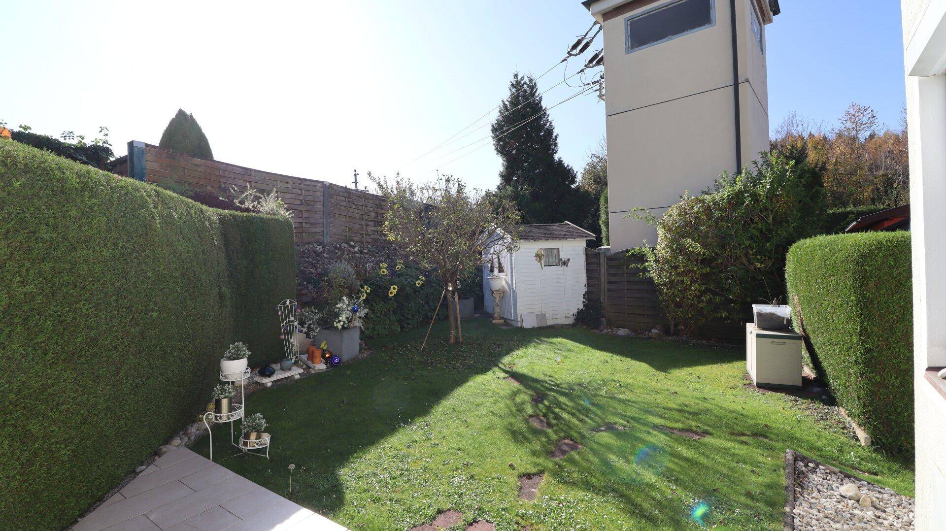 Sonnige Gartenansicht mit Rasen, Hecke und Gartenhaus.