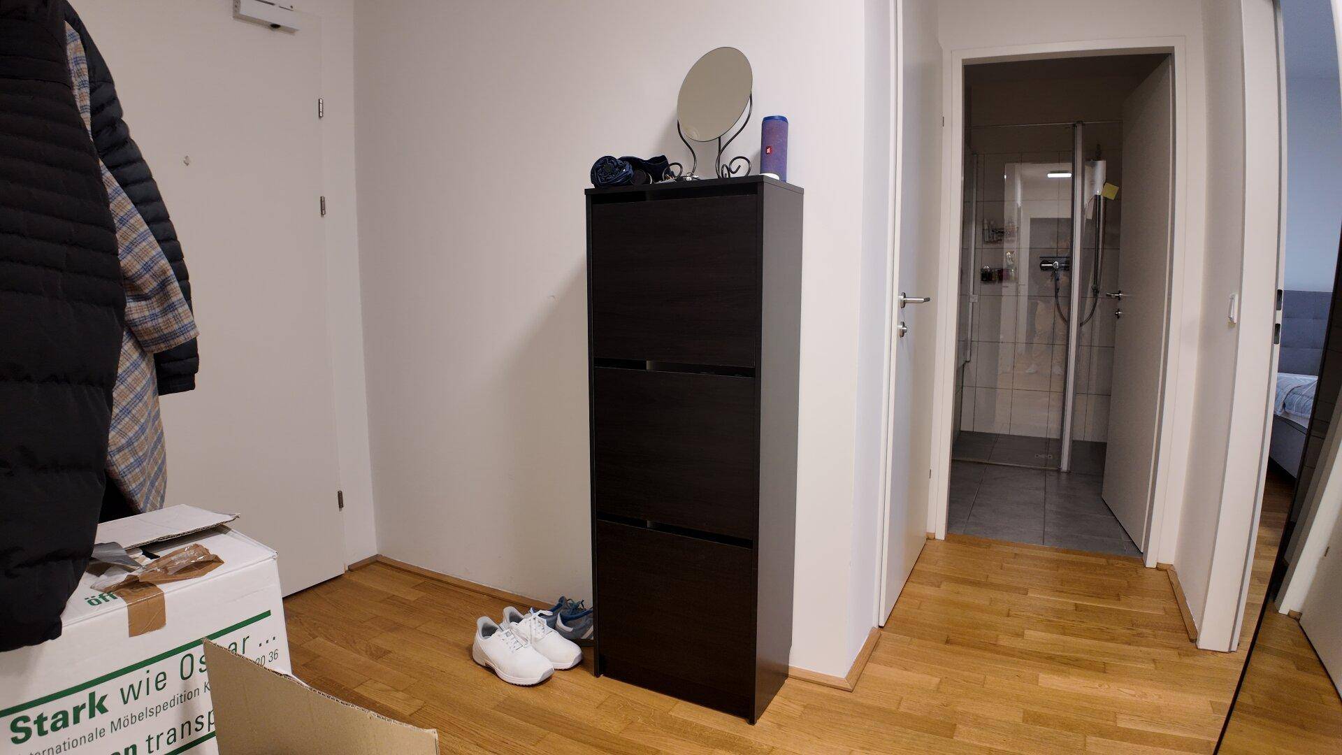 Eingangsbereich mit Parkettboden, Schuhschrank und Blick in den Flur.