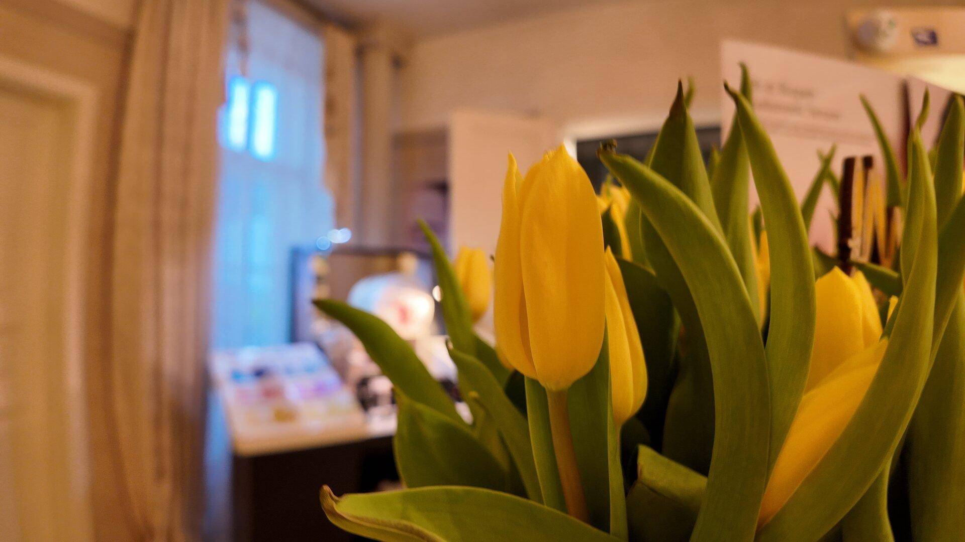 Nahaufnahme von gelben Tulpen mit einem unscharfen Hintergrund eines Innenraums.