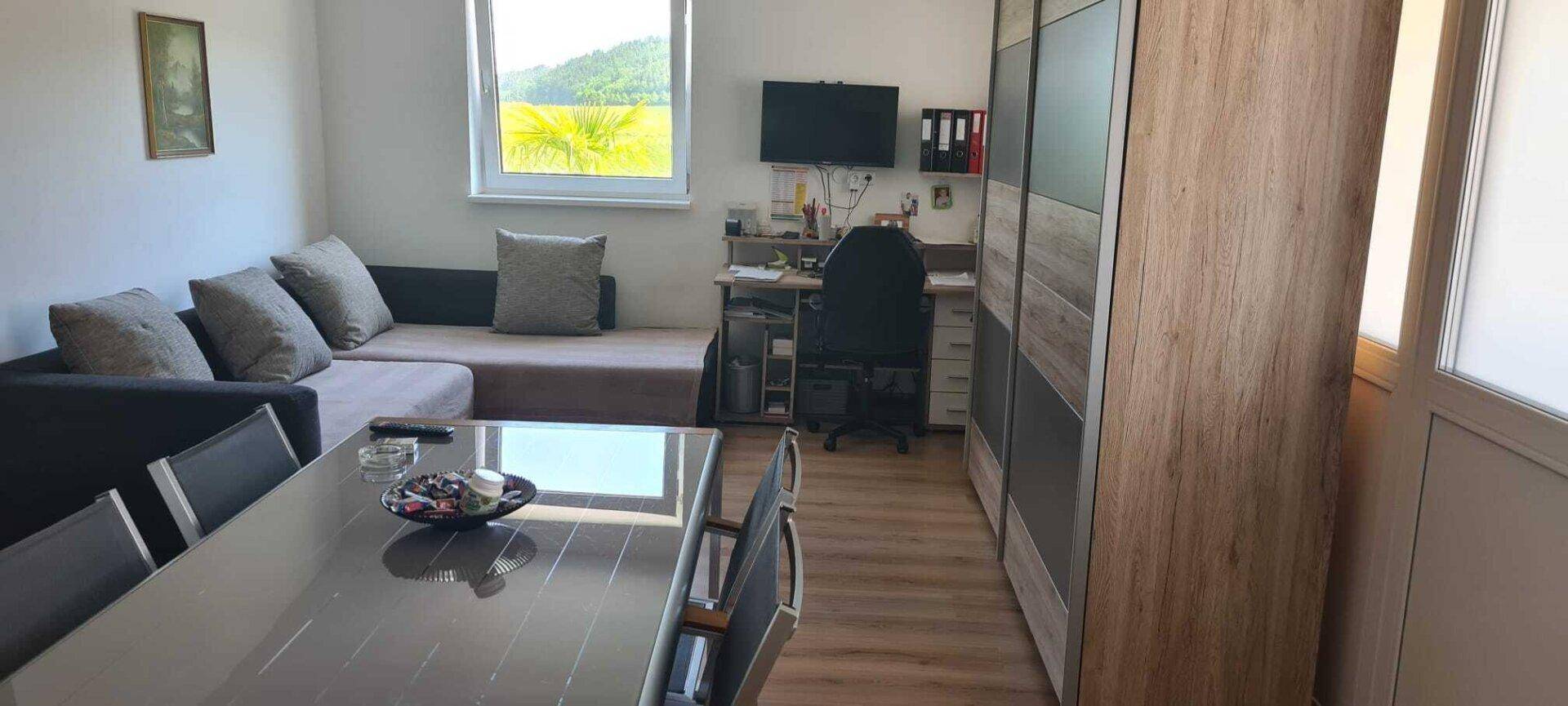 Wohnzimmer mit Sofa, Schreibtisch und Essbereich, bietet vielseitige Nutzungsmöglichkeiten.
