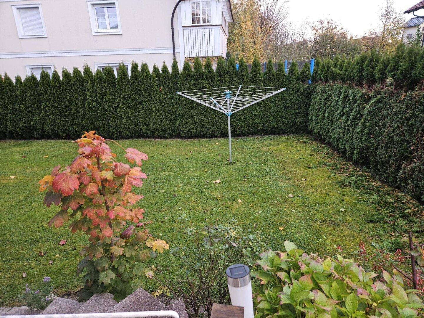 Gepflegter Rasenbereich mit Wäschespinne und herbstlich gefärbtem Baum.