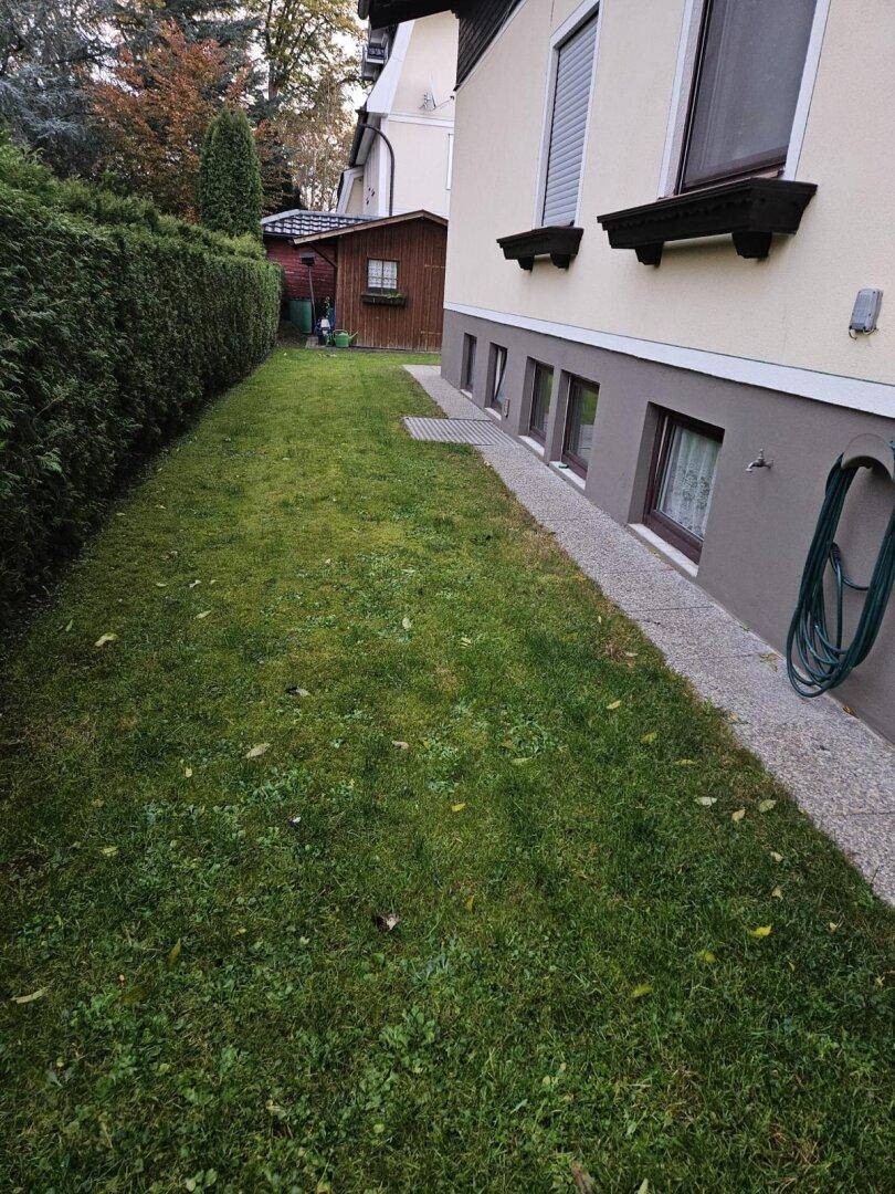 Schmaler Rasenstreifen entlang der Hauswand mit kleinen Kellerfenstern.