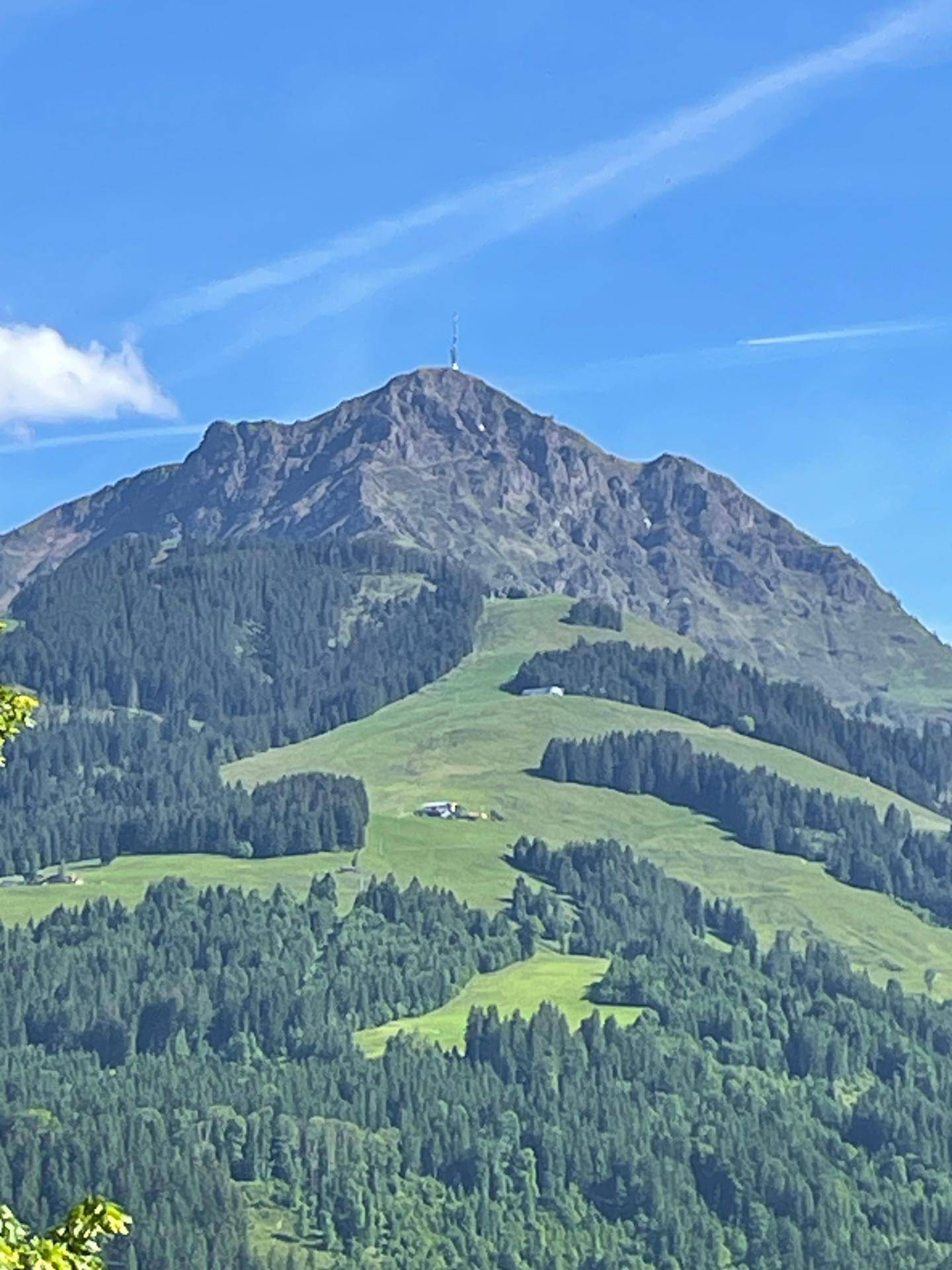 Slide 19