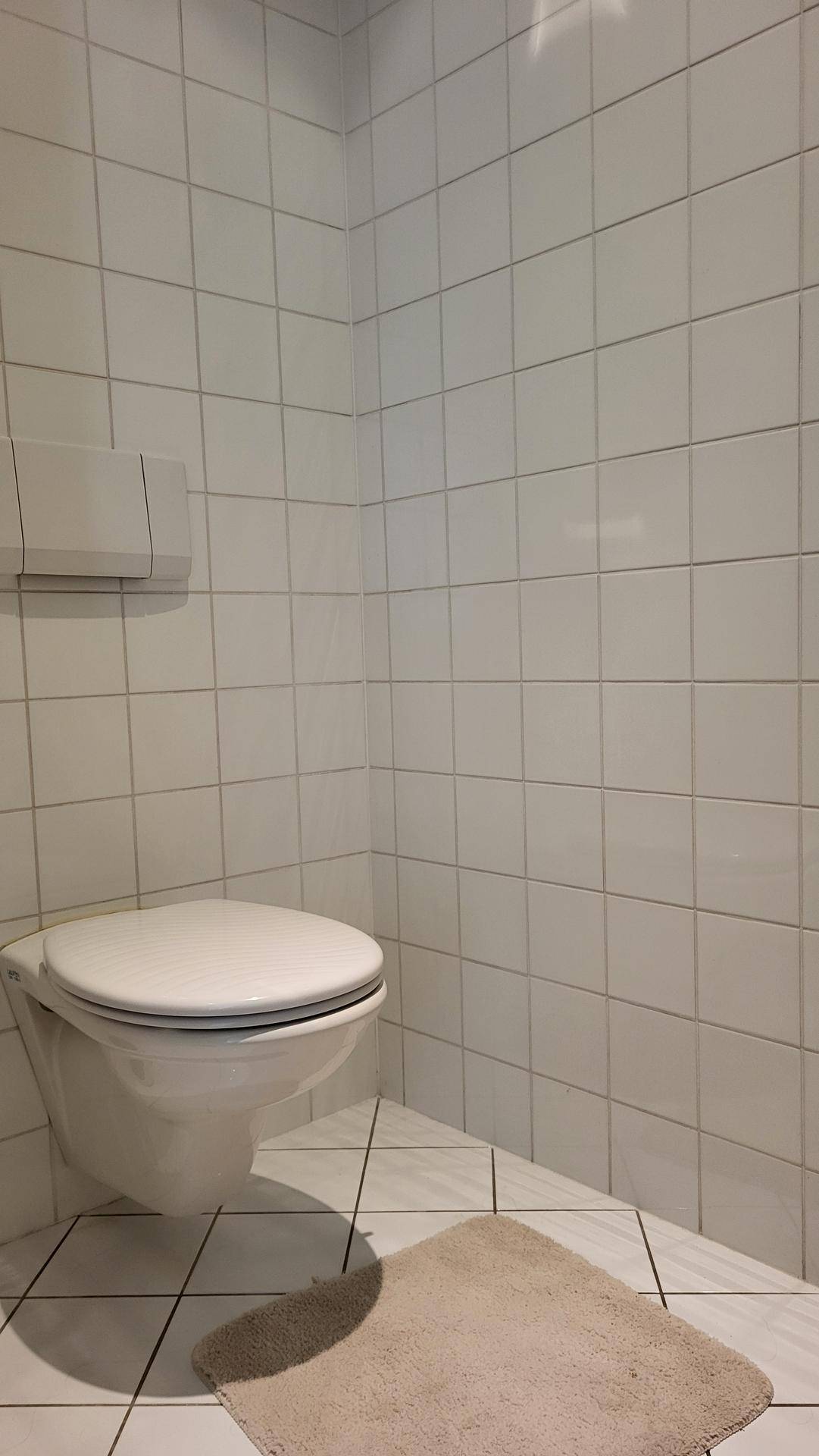 Separates WC mit wandhängender Toilette und weißen Fliesen.