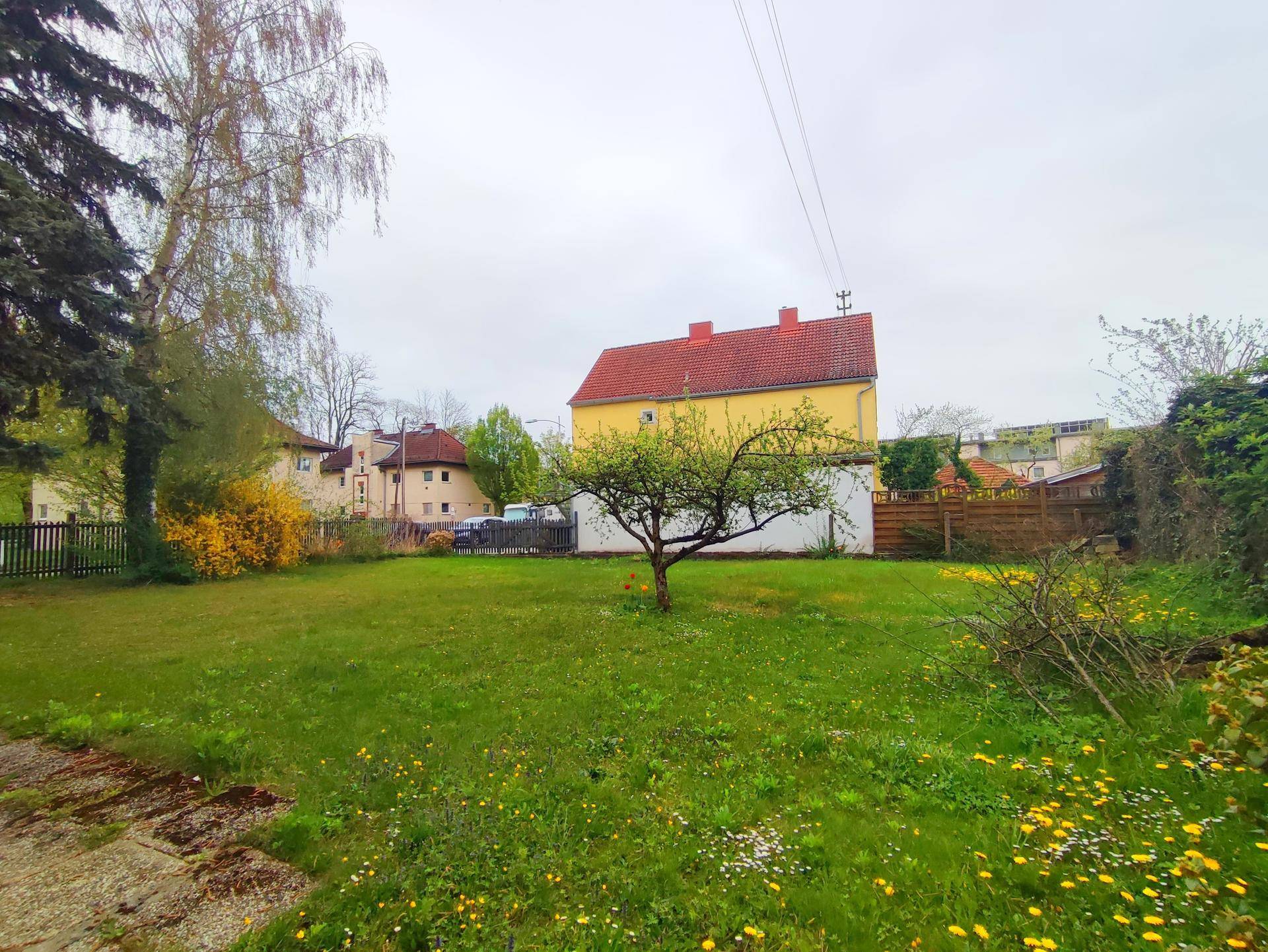 Großer, grüner Gartenbereich mit Rasenfläche, einem kleinen Baum und blühenden Wiesenblumen.