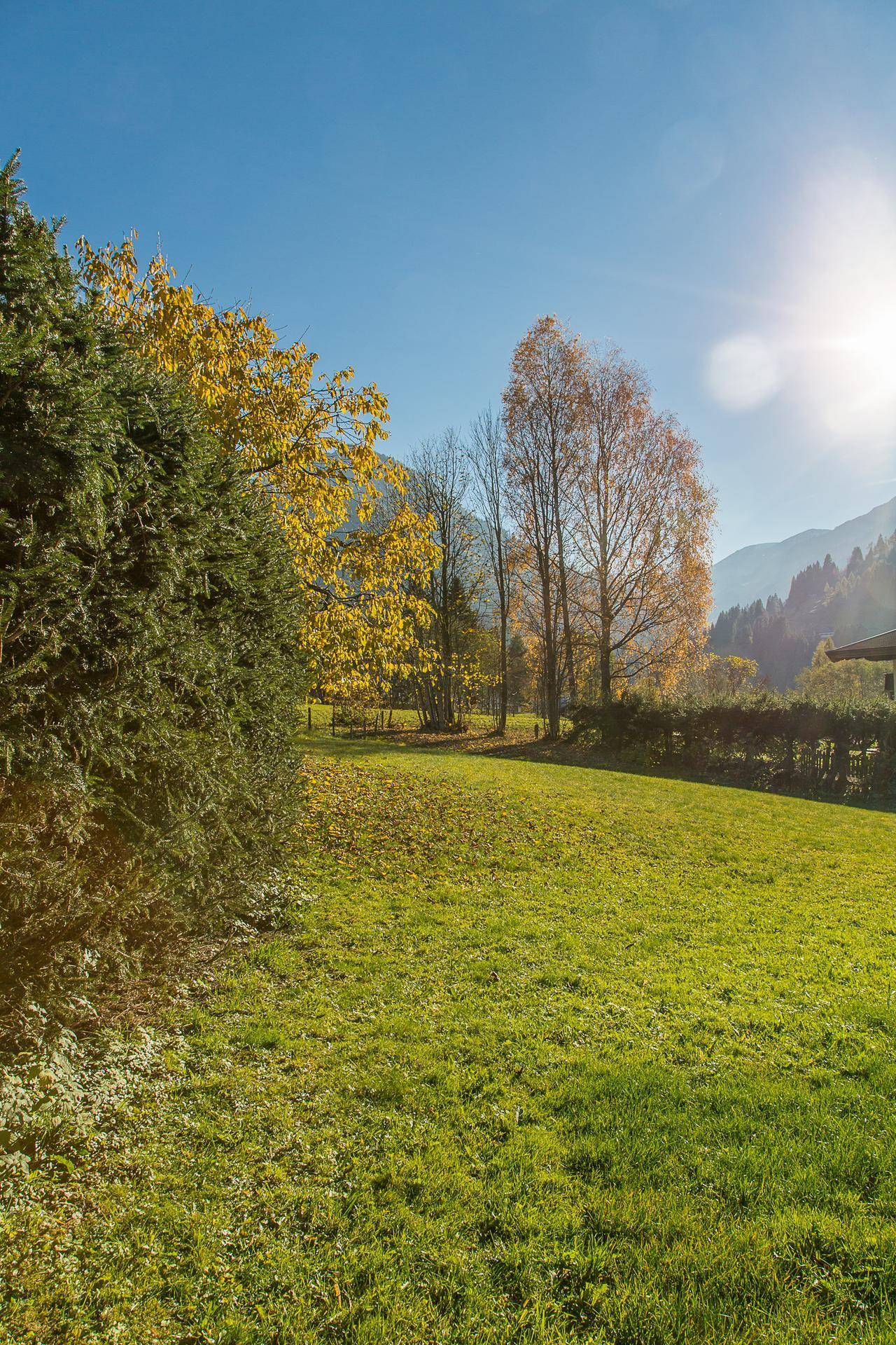 Heller Gartenbereich mit grüner Wiese, herbstlichen Bäumen und strahlendem Sonnenschein.