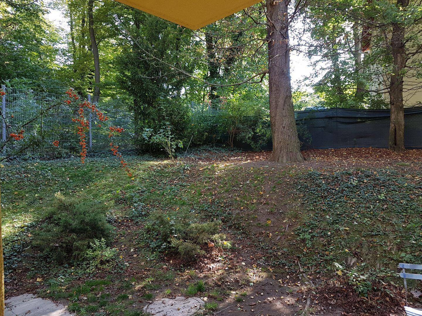Slide 7