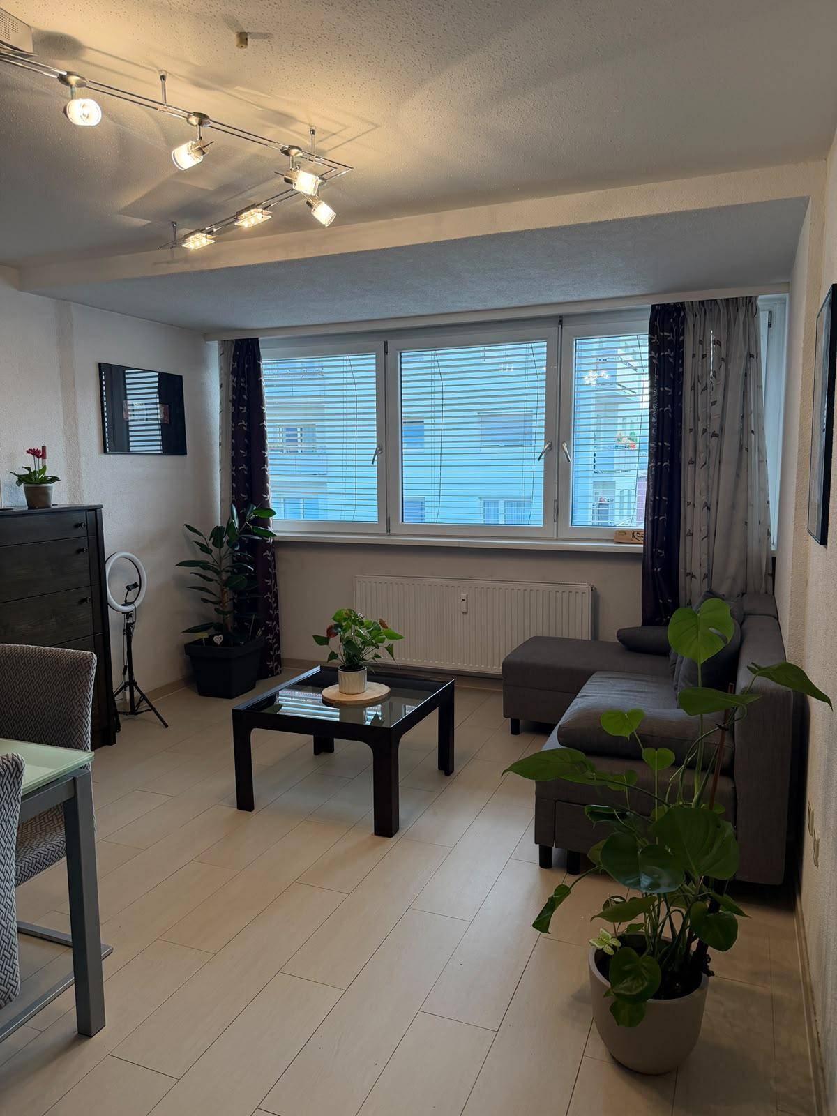 Helles Wohnzimmer mit hellem Laminatboden, großem Fenster und gemütlichem Sofa.