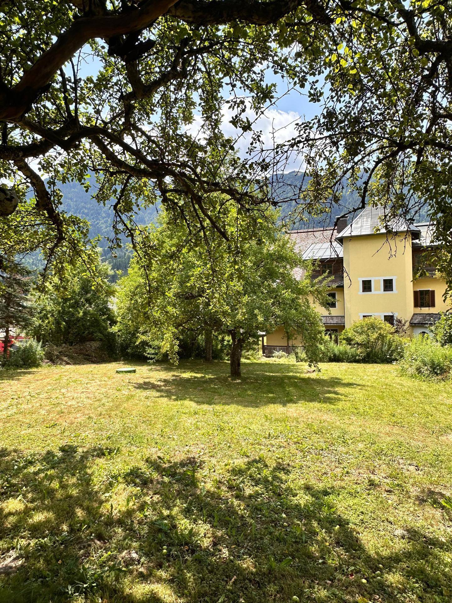 Grüner Gartenbereich mit Bäumen und Rasenfläche, im Hintergrund ist das Gebäude sichtbar.