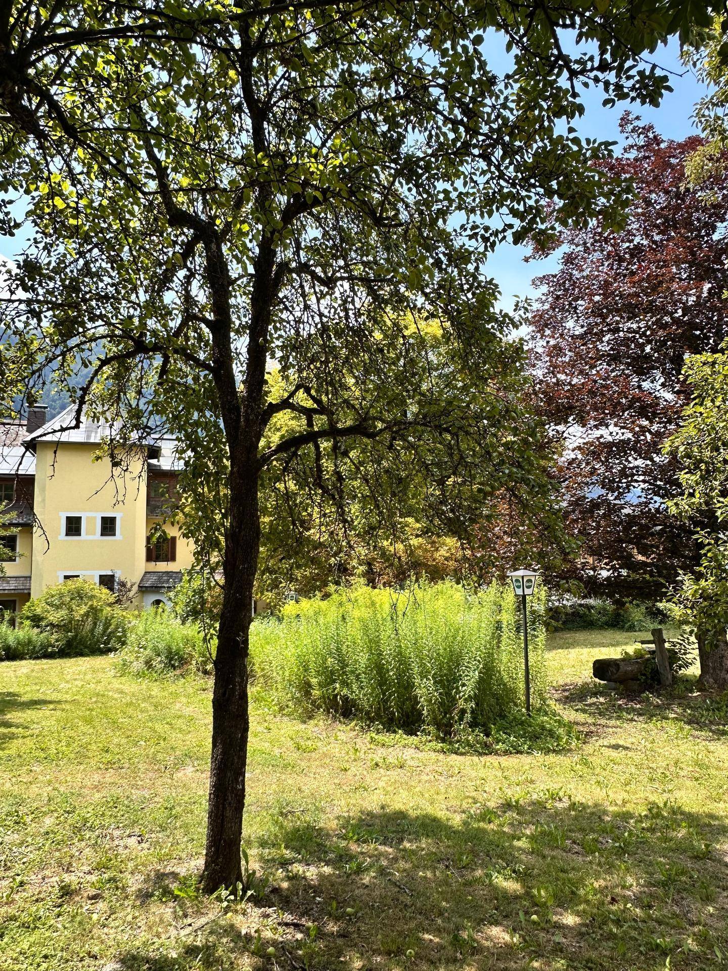 Gepflegter Garten mit Rasen, Bäumen und üppiger Vegetation, das Gebäude ist im Hintergrund zu sehen.