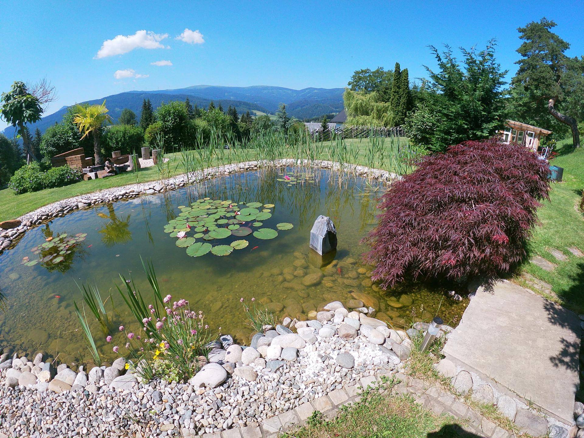 Idyllischer Gartenteich mit Seerosen, Schilf und Steinen, umgeben von üppiger Vegetation und Bergblick.