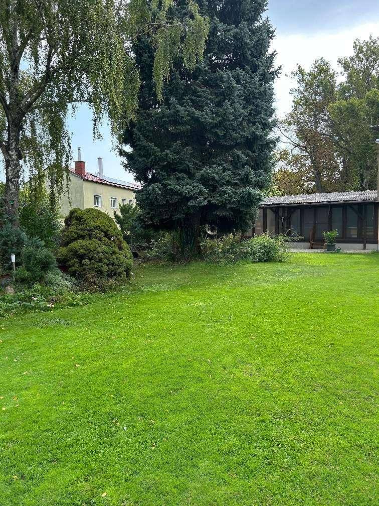 Rarität! Idyllisches Baugrundstück am Leithakanal - provisionsfrei - Ansicht 3