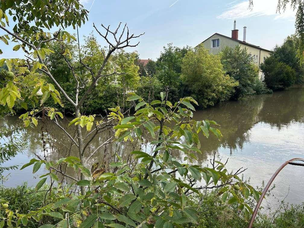Rarität! Idyllisches Baugrundstück am Leithakanal - provisionsfrei - Ansicht 4