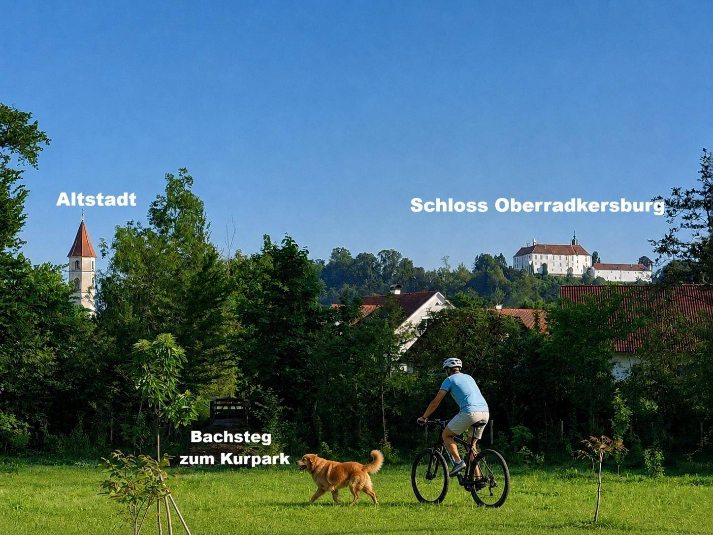 Slide 12