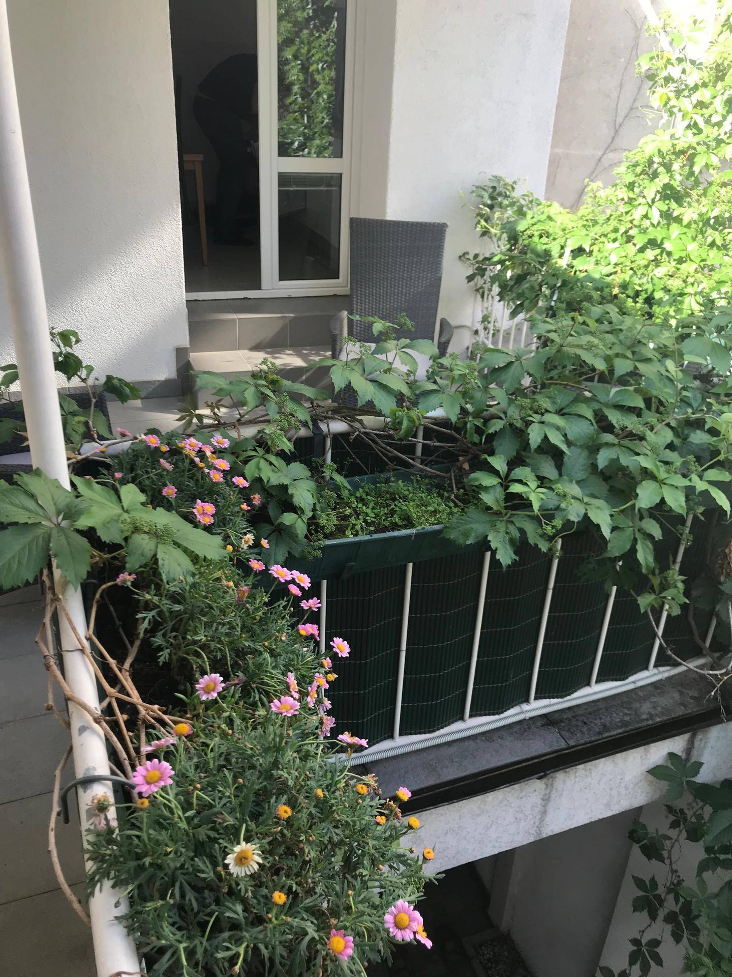 Kleiner Balkon mit blühenden Pflanzen und Blick auf die Umgebung, mit Zugangstür.