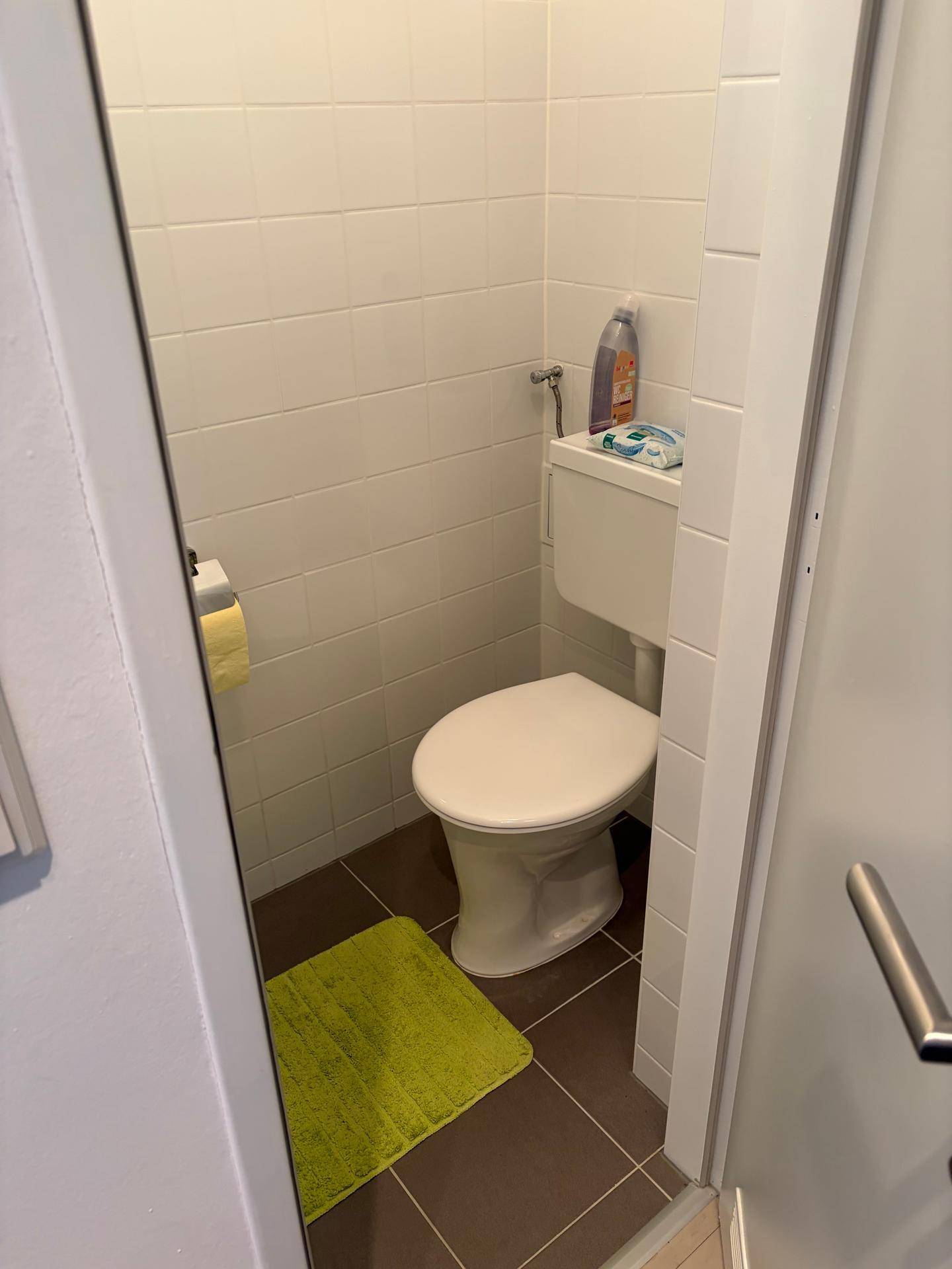 Kleines Gäste-WC mit weißen Fliesen, Toilette und grünem Teppich.